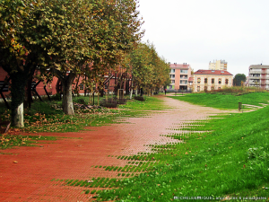 TOULOUSE NIEL